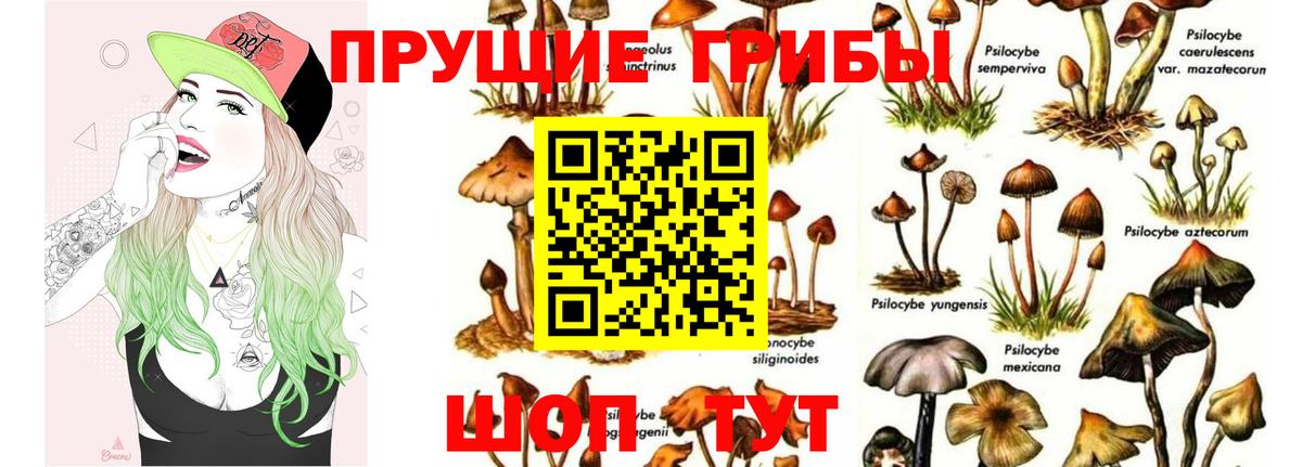 Псилоцибиновые грибы Psilocybine cubensis  Вход с VPN  Галлюциногенные грибы GOLDEN TEACHER  где продают   Гулькевичи 