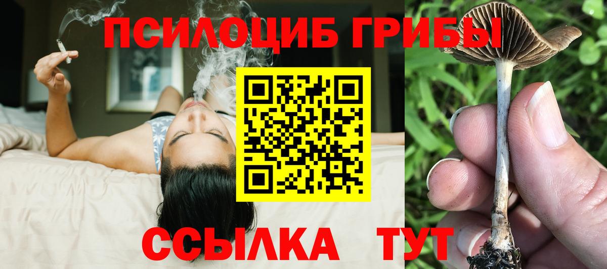 Галлюциногенные грибы мицелий Гулькевичи